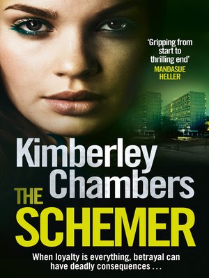 The Schemer - ebook